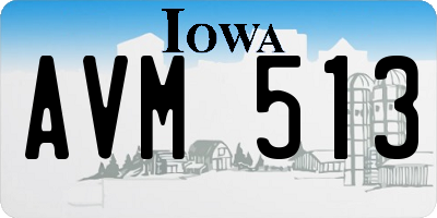 IA license plate AVM513