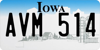 IA license plate AVM514