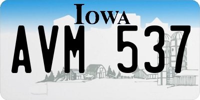 IA license plate AVM537