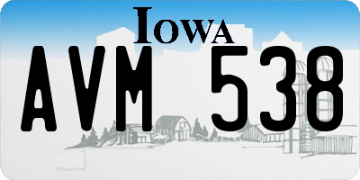 IA license plate AVM538