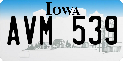 IA license plate AVM539