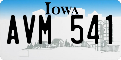 IA license plate AVM541