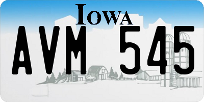 IA license plate AVM545