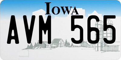 IA license plate AVM565