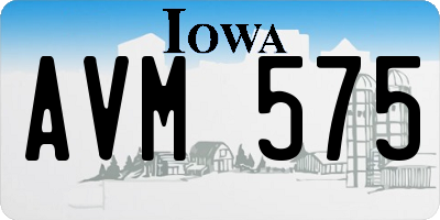 IA license plate AVM575