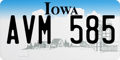 IA license plate AVM585