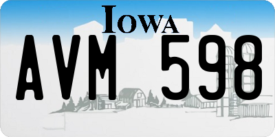 IA license plate AVM598