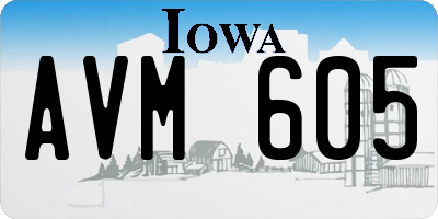 IA license plate AVM605