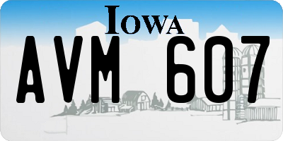 IA license plate AVM607
