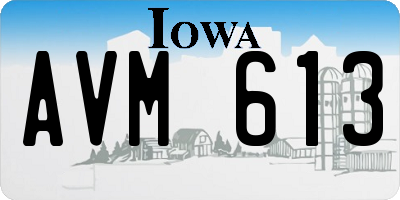 IA license plate AVM613