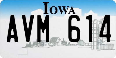 IA license plate AVM614