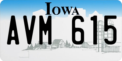 IA license plate AVM615
