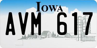 IA license plate AVM617