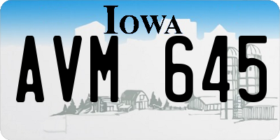 IA license plate AVM645