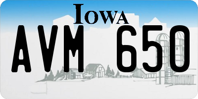 IA license plate AVM650