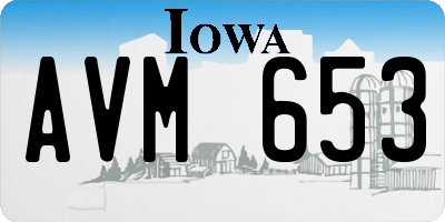 IA license plate AVM653