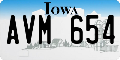 IA license plate AVM654