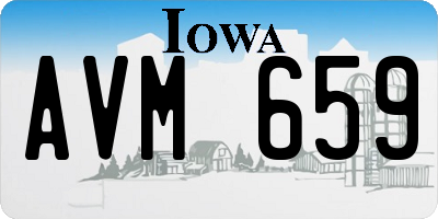 IA license plate AVM659