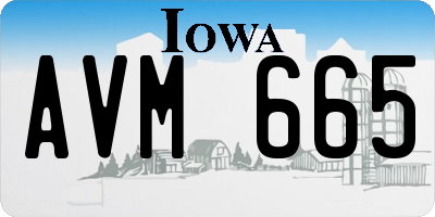 IA license plate AVM665