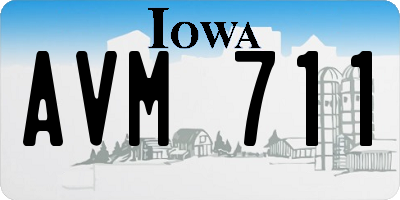 IA license plate AVM711