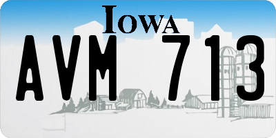 IA license plate AVM713