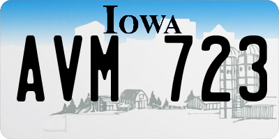 IA license plate AVM723