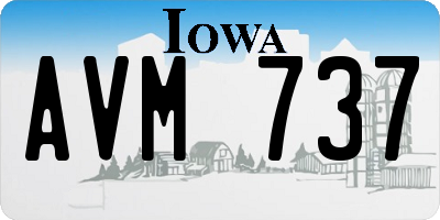 IA license plate AVM737