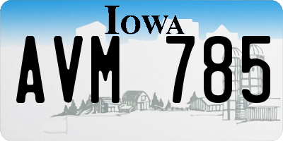 IA license plate AVM785