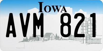 IA license plate AVM821