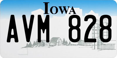 IA license plate AVM828