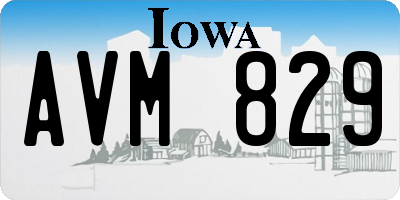 IA license plate AVM829