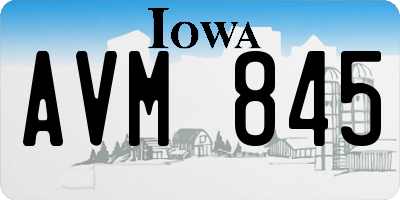 IA license plate AVM845