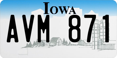 IA license plate AVM871