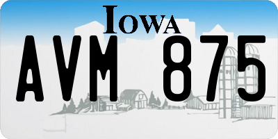 IA license plate AVM875