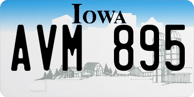 IA license plate AVM895