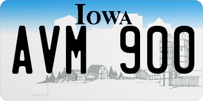 IA license plate AVM900