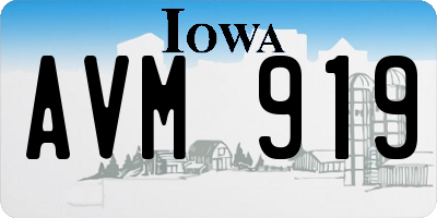 IA license plate AVM919