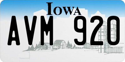 IA license plate AVM920