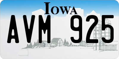 IA license plate AVM925
