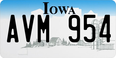 IA license plate AVM954