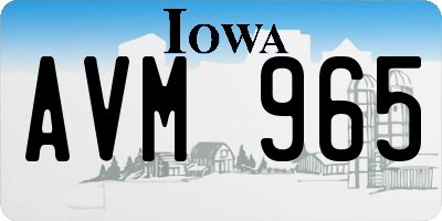 IA license plate AVM965