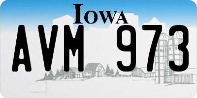 IA license plate AVM973