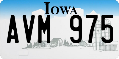 IA license plate AVM975