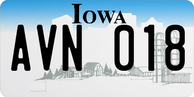 IA license plate AVN018