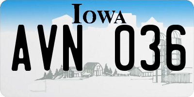 IA license plate AVN036