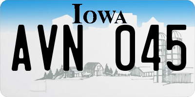 IA license plate AVN045