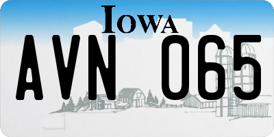 IA license plate AVN065