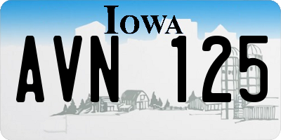 IA license plate AVN125