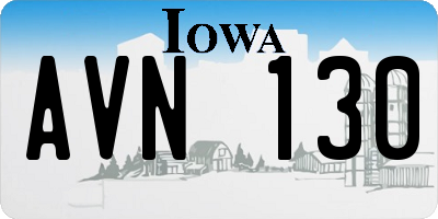 IA license plate AVN130