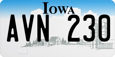 IA license plate AVN230